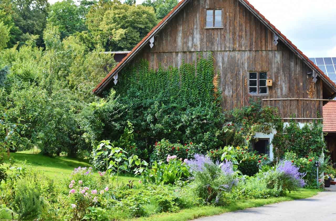 A house with a garden